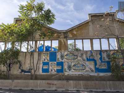 La Fibronit, la �fabbrica della morte� � circondata da piante altissime lasciate crescere selvaggiamente dopo la chiusura dell�impianto avvenuta nel 1985. Sui muri esterni sono ancora attaccati dei vecchi manifesti di un circo